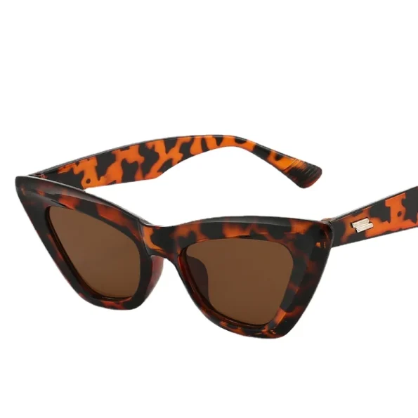 DYTYMJ-Luxury-Cat-Eye-Sunglasses-Women-Small-Triangle-Frame-Shades-for-Women-Retro-Cateye-Sun-Glasses-2