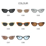 New-Fashion-Summer-Retro-Cat-Eye-Sunglasses-UV400-Shades-Small-Triangle-Glasses-Simple-High-Quality-Street